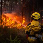 Incendies du Sud-Ouest : l&rsquo;indispensable travail des hebdos au cœur du brasier